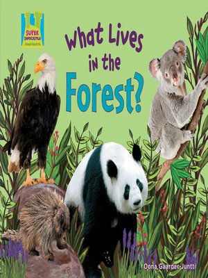 cover image of What Lives in the Forest?